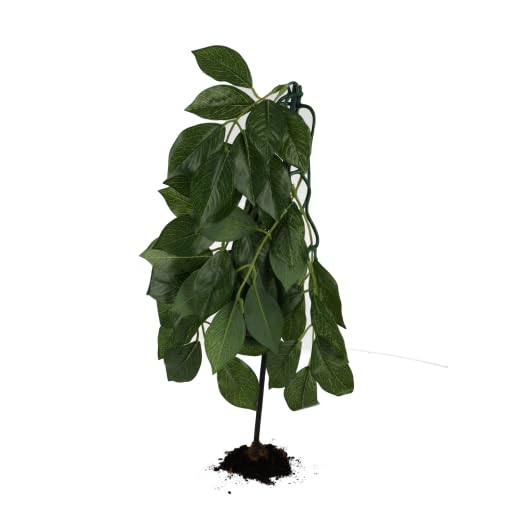 ProRep Silk Weeping Fig 70cm Hanging Plant | Reptile Plants for Vivariums | Terrariums & Accessories for Reptiles | Artificial Exotic Foliage | Tropical Plants