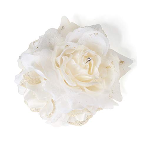 [NCYRNV]  u[P RT[W s Nbv  w Ǝ   \ȂǃtH[}V[ (zCg)