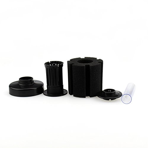 https://m.media-amazon.com/images/I/31ruNFpGryL._SL500_.jpg