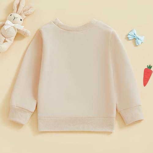Toddler Baby Girl Boy Easter Outfits Bunny Embroidery Round Neck Long Sleeve Sweatshirt Pullover Top Fall Clothes3