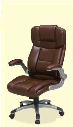 大商産業 C-550 パーソナルチェア (BR)