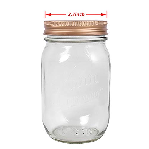 Feeshow 8Pcs Polished Rust Resistant Stainless Steel Coin Slot Bank Lid Inserts For Mason Jar Canning Jar Rose One Size #TOP6