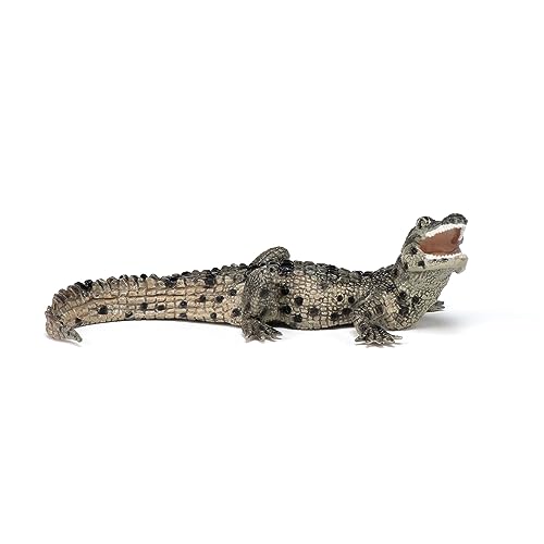 Papo - Tierfigur - Baby Krokodil, Erste Schritte in der Welt der Reptilien, Kinderspielzeug ab 3 Jahren - Sensibilisierung für die biologische Vielfalt des Wassers