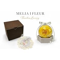 Amazon｜【MELIA I FLEUR】プリザーブドフラワー クリアドーム型