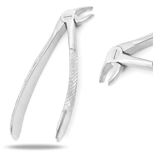 PC EXTRACTING Forceps #23 English Pattern Dental Instruments