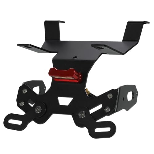 Support de plaque moto CB125R CB250R CB300R en alu avec feu LED