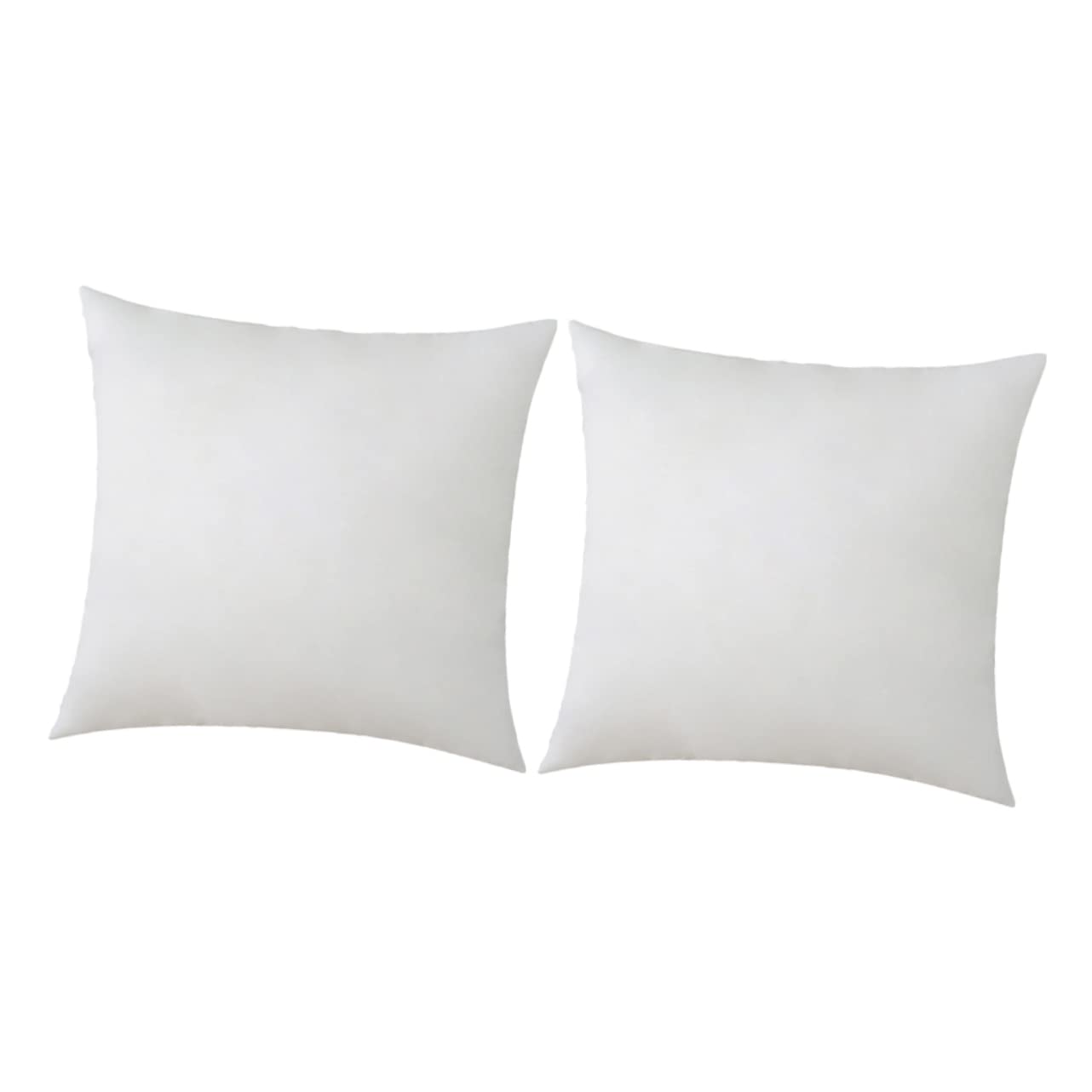 Lot de 2 Garnissages de Coussins Décoratifs Rectangulaires en Coton PP, Tissu Non Tissé, pour Canapé et Maison, Blanc