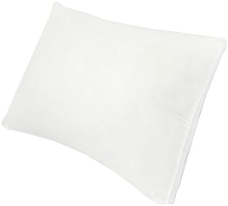 Century Home Vitality Gusseted Polyester Filled Pillow, Standard