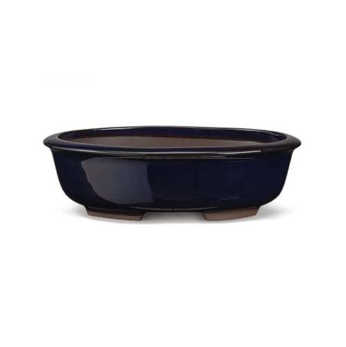 CERTRE Maceta bonsai ovalada 6000 de gres – 33 x 26 x 8,5 cm – Color azul oscuro esmaltado