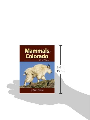 Mammals Of Colorado Field Guide (Mammal Identification Guides) #TOP1