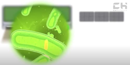 CH QUIMICA102610 AIRPUR PRO 5L. Bactericida, fungicida, viricida y eliminador de olores para sistemas de aire acondicionado - imagen 3