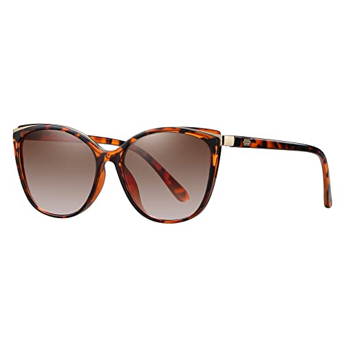 Trendy Cat Eye Sunglasses for Women Fashion Cateye UV400 Protection Glasses CL22017