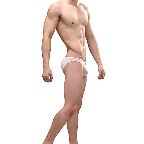 Mens Low Rise Mesh Transparent Male Panties Underwear2