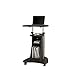 Techni Mobili Sit-to-Stand Rolling Adjustable Height Laptop Cart with Storage, Graphite, 22 x 16 x 46