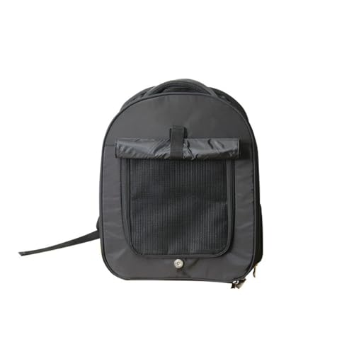 MKIFJGHybgL[ LpE^ o hCu s ʉ@ h p яoh~ y e (ubN)