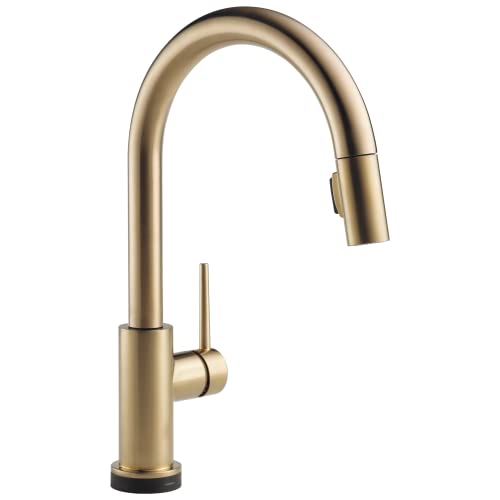 Delta Faucet Trinsic VoiceIQ Touchless Kitchen Faucet with Pull Down Sprayer, Smart Faucet, Alexa and Google Assistant Voice Activated, Gold Kitchen Faucet, Champagne Bronze 9159TV-CZ-DST