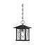 Hanging Lantern