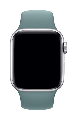 Image of Apple Watch Sport Band (40mm) - Cactus - Regular