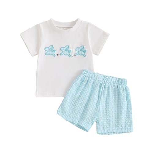 Image of Toddler Baby Boy Easter Rabbit Outfit Short Sleeve Bunny Carrot Smocked T-shirt Elastic Waist Shorts Summer Clothes