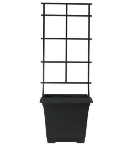 Muddy Hands 9.7 Litre Black Plastic Trellis Planter Climbing Plants Support Sweet Pea Runner Bean Tomato Plant Pot