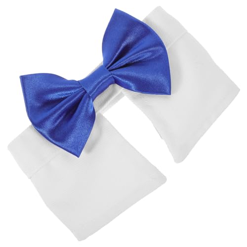 VICASKY \ȔLp lNt tH[}ybgJ[ ^ƔL̂߂̉KfUC a  op