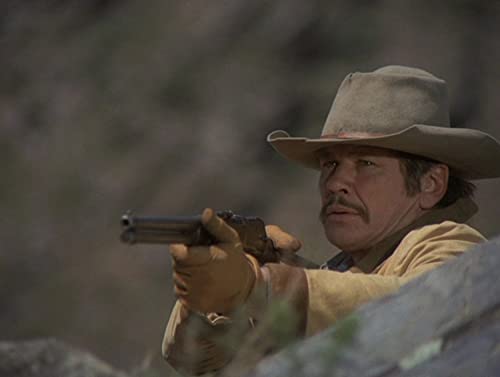 Wilde Pferde (Charles Bronson) (Mediabook B, 2 Blu-rays+DVD) (exkl. Amazon)