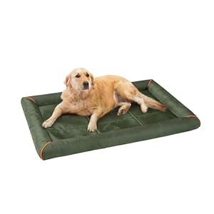 Friends Forever Bolster Dog Crate Mat 42 Inch, Washable Dog Crate Pad for Raised Dog Bed and Dog Crate Bed, Oxford, Nova Oliver Green