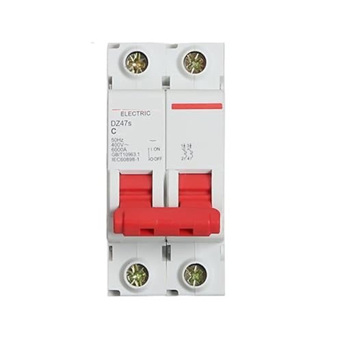 Interruptor tipo D DZ47S-125 2P 80A magneto-térmico para riel DIN