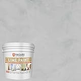 VASARI Lime Plaster & Paint | LIME PAINT | Made from Natural Lime and Powdered Marble | color: Cement Grey #21 | size: 1 Gallon