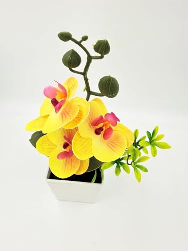 Image of Florona Artificial Orchid Flowers for Decoration with White Plastic Pot | 25 cm Artificial Flowers with Pot | Phalaenopsis Flower with Vase | Realistic Flower for Home, Bedroom, Office (Yellow)