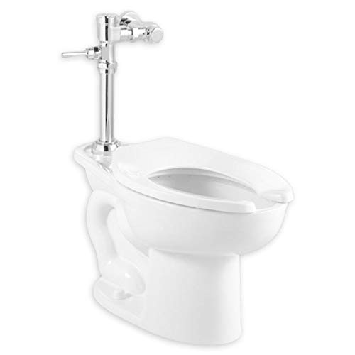 MISC Elongated 1-Piece White Vitreous Chin Toilet Compliant