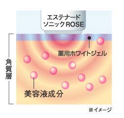 Amazon | エステナード ESTENAD 薬用ホワイトジェル 70g 4本セット