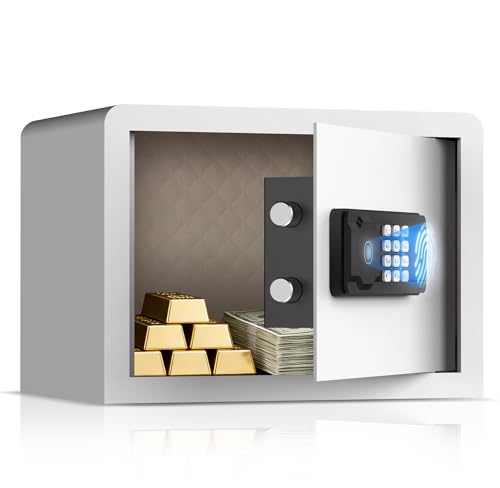 AEGIS Small Biometric Safe with Fingerprint Lock (9.9"D x 13.8"W x 9.9"H), Smart Digital Safe Box with Silent Mode, Backlit Keypad and LED Light for Home Office Dorm