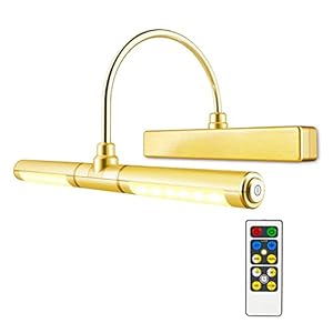 HONWELL Picture Light Remote Control AA Battery Operated Wall Lights with 180 Degree Swing Arm and Brightness Dimmable…