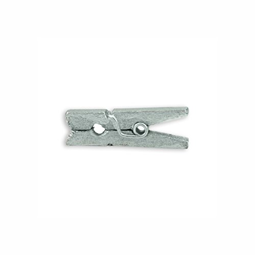 LWR CRAFTS Wooden Mini Clothespins 100 Per Pack 1" 2.5cm (Silver)