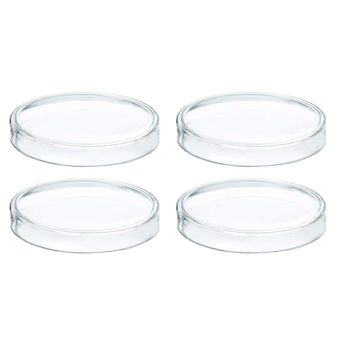 DIKACA Placas de Petri de Vidrio Borosilicato 60 Mm 4 Piezas para Laboratorio Químico y Cultivo Celular, Resistentes al Calor, Transparentes, Uso Escolar y Científico