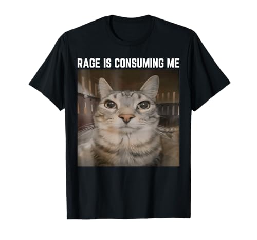 Rage Is Consuming Me Meme Cat Meme Seltsam Specific Memes Witz T-Shirt