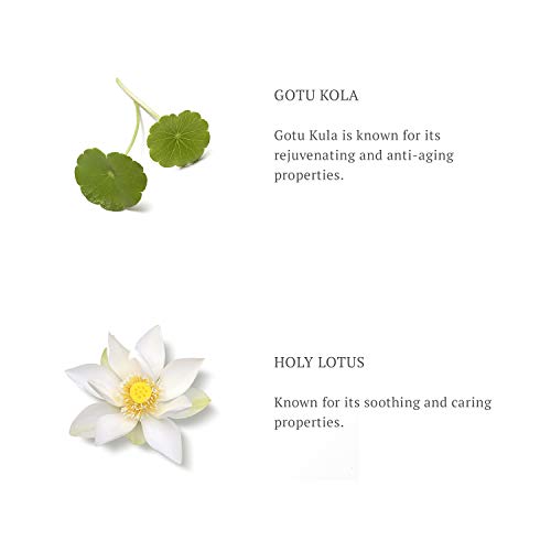 RITUALS The Ritual of Namasté verstevigende oogcrème, Ageless collectie, 15 ml, 1106428 - Afbeelding 6