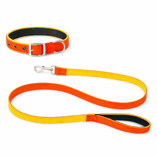 Image of Dog Leash with Padded Handle and Padded Collar Set | Adjustable Nylon Dog Collar & Heavy Duty Leash with Strong Metal Clip | Useful for Small Medium Large Dogs (Orange & Yellow)