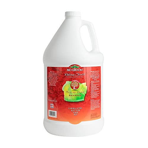Image of Bio-Groom Tuscan Olive Dog Shampoo - Natural Scent Pet Shampoo, Baobab Protein, Cat & Dog Bathing Supplies, Puppy Wash, Cruelty-Free, Made in USA, Quick Rinse Cat Shampoo - 1 Gallon | Pet Shampoo, Baobab Protein, Cat Bathing Supplies, Puppy Wash, Cruelty-Free, Made in USA