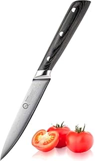 Taylors Eye Witness Quantum Pakka Wood Handle All Purpose Knife - 12cm / 5 Blade. High Hardness Exotic Super-Steel Core, Between 66 Premium Steel Alloy Layers, Damascus Hamaguriba Grind Profile.