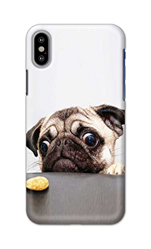 Image of PRINTFIDAA� Printed Hard Back Cover Case for Apple iPhone X | iPhone 10 | iPhone Xs | iPhone 10s Back Cover (Pug Dog) -2808