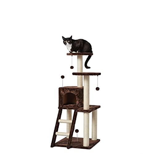 Amazon Basics Large Dual Platform Cat Condo Tree Tower - 19 X 50 X 19 Inches, Dark Brown #TOP25