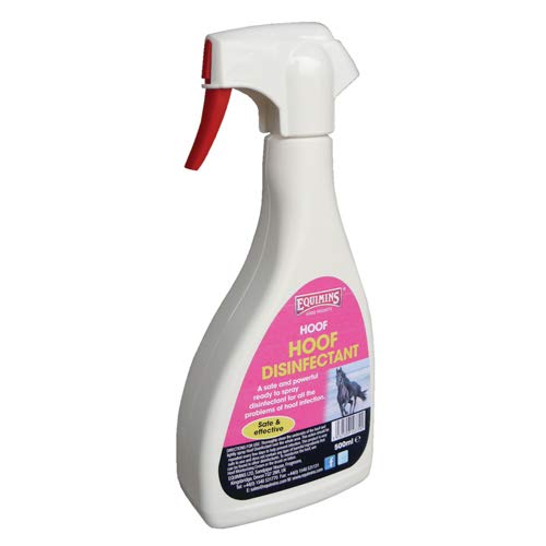 Equimins EQS0838 Hoof Disinfectant Spray - Clear, Regular