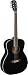 James Neligan 6 String Acoustic Guitar (BES-A BK)