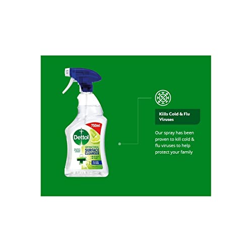 Dettol Antibacterial Surface Cleaning Spray, Lime and Mint, 750 ml (Pack of 1) (Packaging May Vary) - Image 5