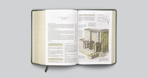 Image of ESV Study Bible, Personal Size (TruTone, Quiet Forest, Ornament Design): Holy Bible, English Standard Version