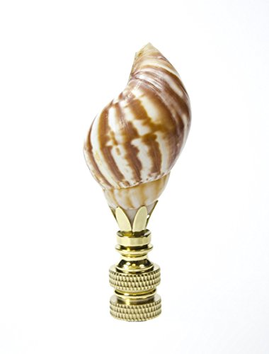 Image of Snail Sea Shell Lamp Finial with Polished Brass Base 3.25 inch h