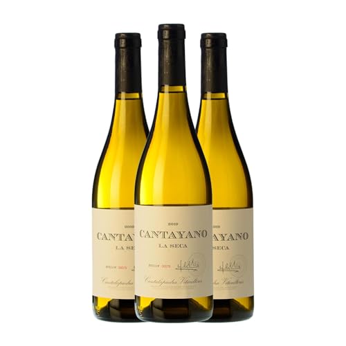 Cantalapiedra Cantayano Verdejo Vino de la Tierra de Castilla y León Crianza 75 cl Vino blanco (Caja de 3 Botellas de 75 cl)
