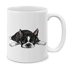 Boston Terrier Dog Lying Down Looking Up